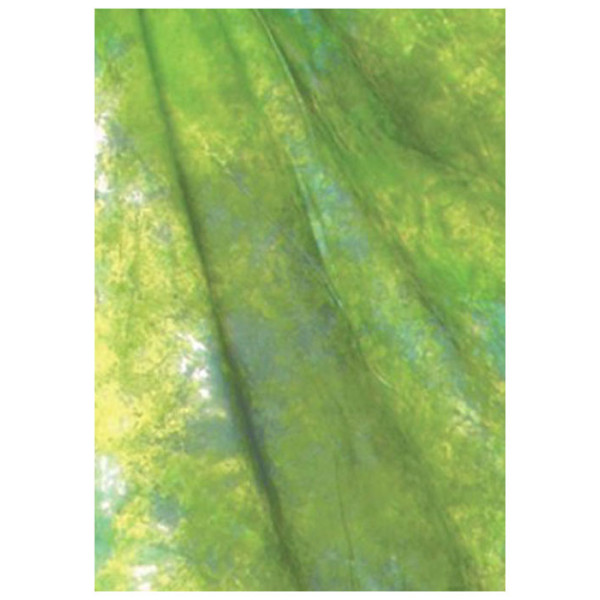 WEIFENG Тканинний фон WOB2001 2.6x6m W-089