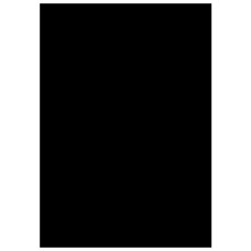 WEIFENG Тканинний фон WOB2002 2.6x6m Black